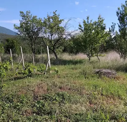Photo 3 — Plot in Oblast Kyustendil, Dupnica