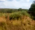 Снимка 2 — Парцел в Кюстендил, Кочериново