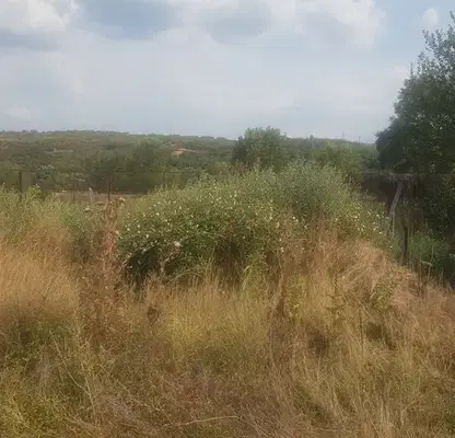 Photo 2 — Plot in Oblast Kyustendil, Kocherinovo
