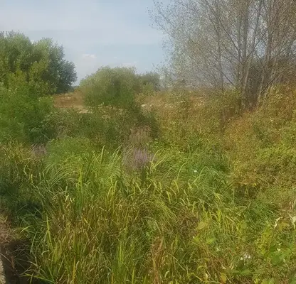 Photo 3 — Plot in Oblast Kyustendil, Kocherinovo