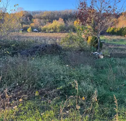 Photo 3 — Plot in Oblast Kyustendil, Kocherinovo