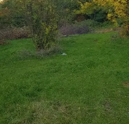 Photo 4 — Plot in Oblast Kyustendil, Sapareva Banya