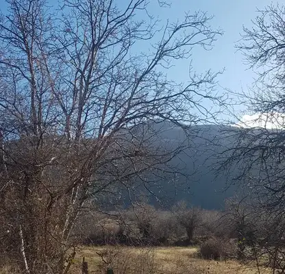 Photo 2 — Plot in Oblast Kyustendil, Sapareva Banya