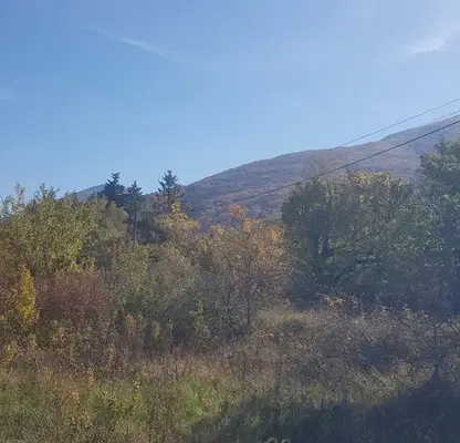 Photo 4 — Plot in Oblast Kyustendil, Sapareva Banya