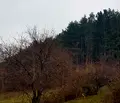 Снимка 2 — Парцел в Кюстендил, Сапарева баня