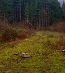 Парцел в Кюстендил, Сапарева баня