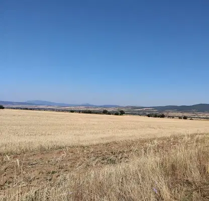 Photo 3 — Plot in Oblast Kyustendil, Sapareva Banya