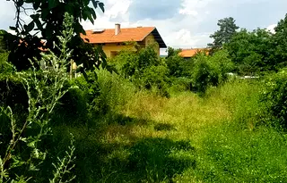 Парцел в Кюстендил, Сапарева баня