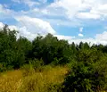 Снимка 2 — Парцел в Кюстендил, Сапарева баня