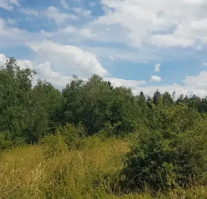 Photo 2 — Plot in Oblast Kyustendil, Sapareva Banya