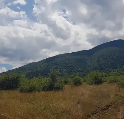 Photo 3 — Plot in Oblast Kyustendil, Sapareva Banya