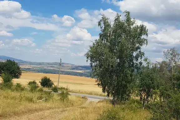 Plot in Oblast Kyustendil, Sapareva Banya