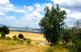 Парцел в Кюстендил, Сапарева баня