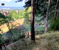 Снимка 2 — Парцел в Кюстендил, Сапарева баня