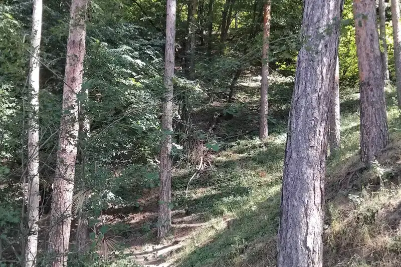 Plot in Oblast Kyustendil, Sapareva Banya