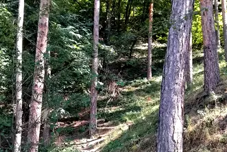 Парцел в Кюстендил, Сапарева баня
