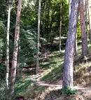 Парцел в Кюстендил, Сапарева баня