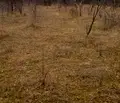 Снимка 2 — Парцел в Кюстендил, Сапарева баня