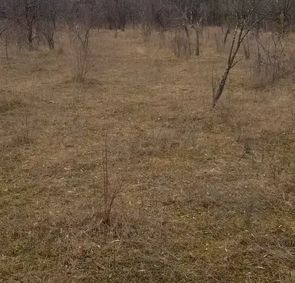 Photo 2 — Plot in Oblast Kyustendil, Sapareva Banya