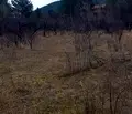 Снимка 4 — Парцел в Кюстендил, Сапарева баня