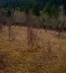 Парцел в Кюстендил, Сапарева баня