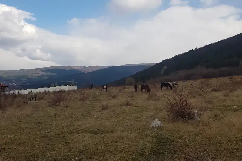 Plot in Oblast Kyustendil, Sapareva Banya