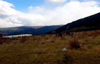 Парцел в Кюстендил, Сапарева баня