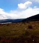 Парцел в Кюстендил, Сапарева баня