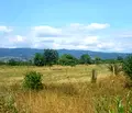 Снимка 2 — Парцел в Кюстендил, Сапарева баня