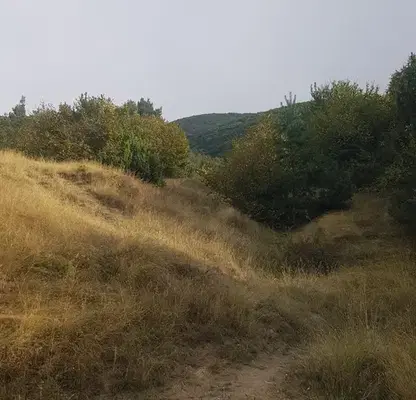 Photo 2 — Plot in Oblast Kyustendil, Sapareva Banya