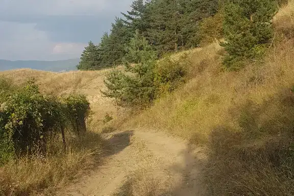 Plot in Oblast Kyustendil, Sapareva Banya