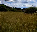 Снимка 2 — Парцел в Кюстендил, Сапарева баня
