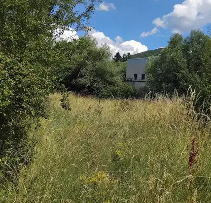 Photo 3 — Plot in Oblast Kyustendil, Sapareva Banya