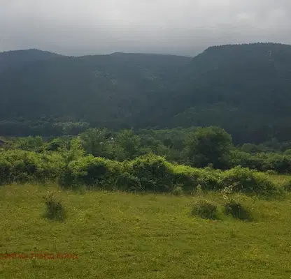 Photo 3 — Plot in Oblast Kyustendil, Sapareva Banya