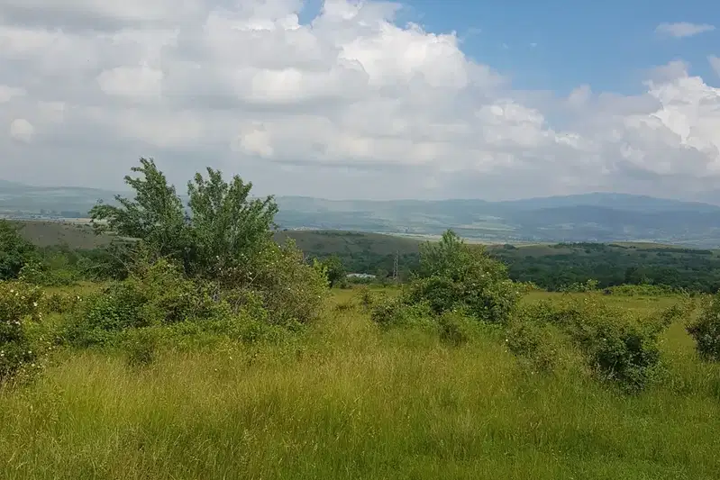 Plot in Oblast Kyustendil, Sapareva Banya