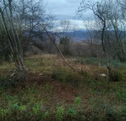 Photo 2 — Plot in Oblast Kyustendil, Sapareva Banya