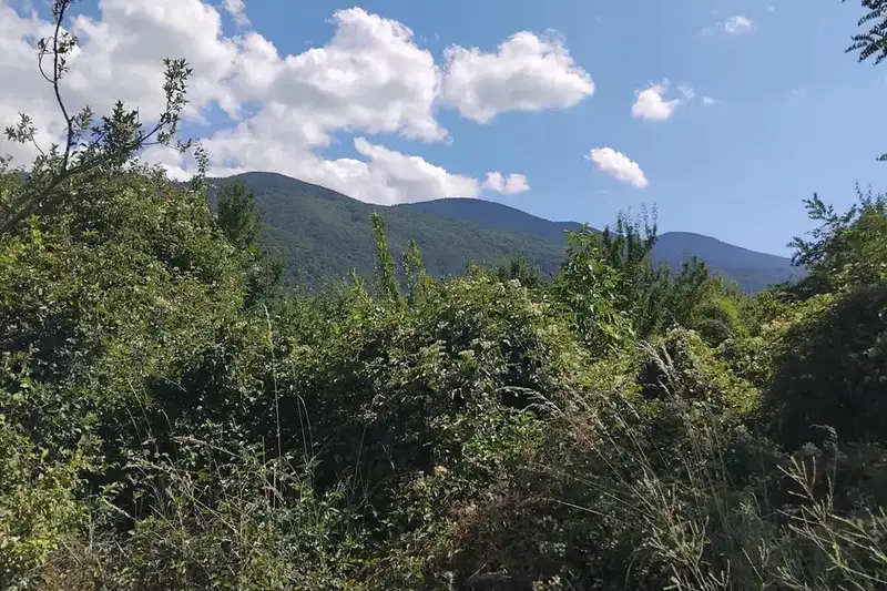 Plot in Oblast Kyustendil, Sapareva Banya