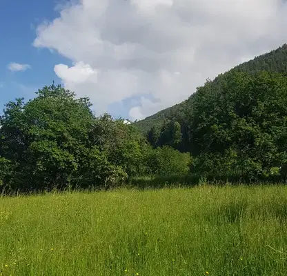 Photo 3 — Plot in Oblast Kyustendil, Sapareva Banya