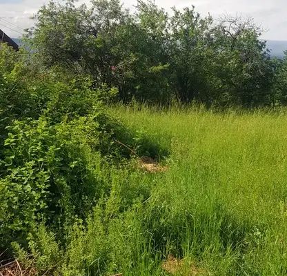 Photo 4 — Plot in Oblast Kyustendil, Sapareva Banya