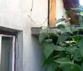 Снимка 3 — Парцел в Кюстендил, Сапарева баня