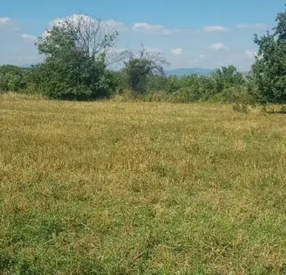 Photo 3 — Plot in Oblast Kyustendil, Sapareva Banya