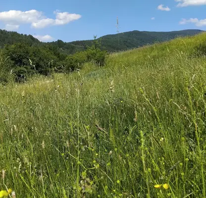 Photo 2 — Plot in Oblast Kyustendil, Sapareva Banya