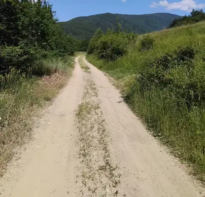 Photo 3 — Plot in Oblast Kyustendil, Sapareva Banya