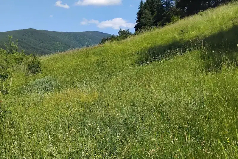 Plot in Oblast Kyustendil, Sapareva Banya