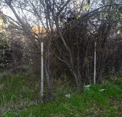 Photo 2 — Plot in Oblast Kyustendil, Sapareva Banya