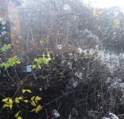 Photo 4 — Plot in Oblast Kyustendil, Sapareva Banya