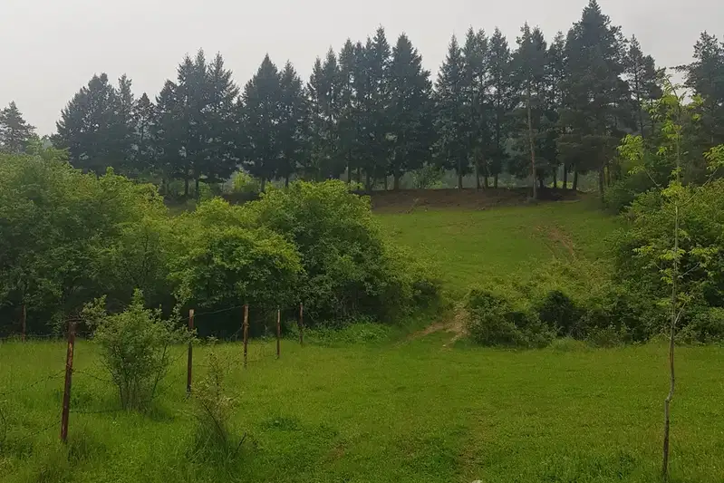 Plot in Oblast Kyustendil, Sapareva Banya