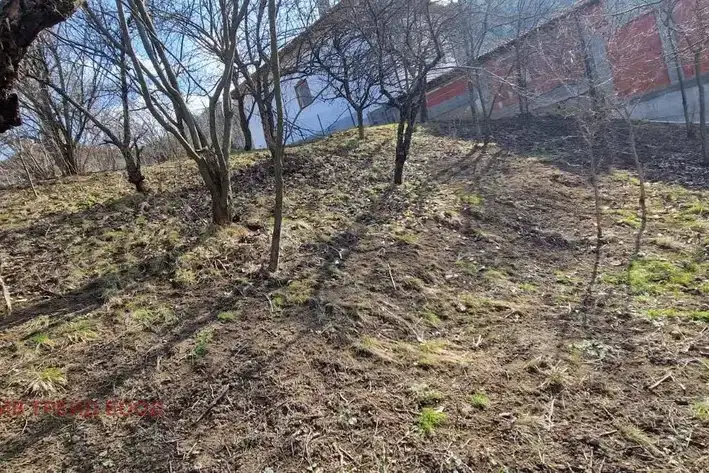 Plot in Oblast Kyustendil, Sapareva Banya