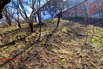 Парцел в Кюстендил, Сапарева баня
