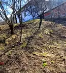 Парцел в Кюстендил, Сапарева баня
